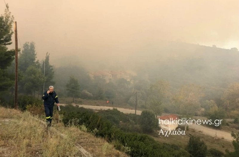Χαλκιδική: Η επίσημη ανακοίνωση της πυροσβεστικής για την πυρκαγιά